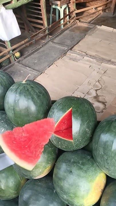 Super Pakwan Cumpilation .